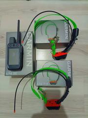 Garmin Alpha 300 TT 25 Remote Training System 